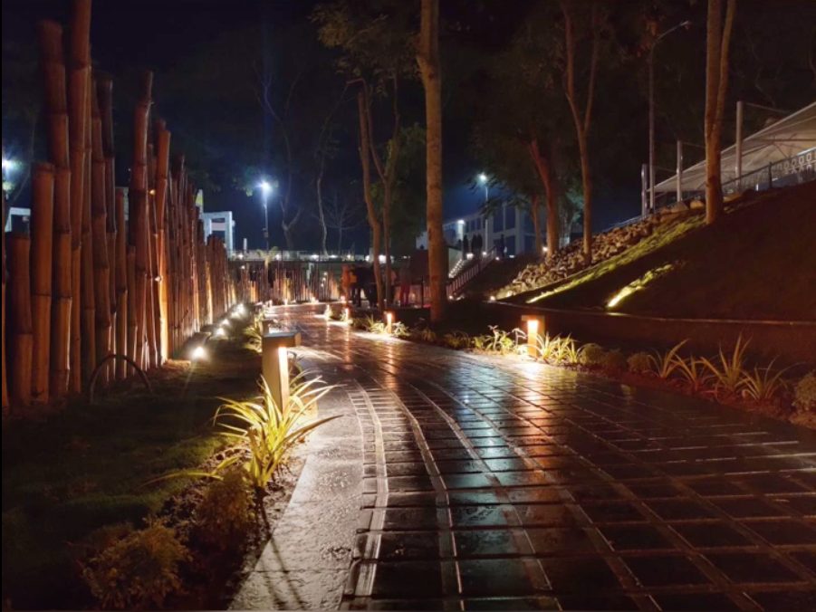Pathway lit by ground-level fittings between bamboo